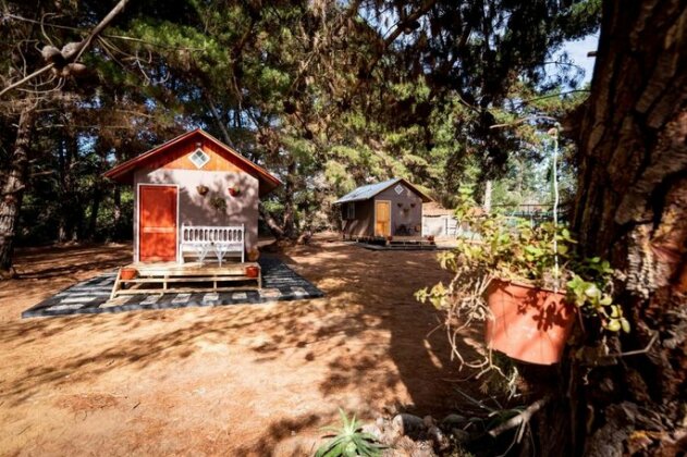 Cabanitas del Bosque Algarrobo - Photo5