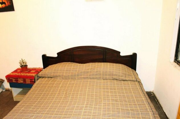 Hostel La Posada Gallo - Photo5