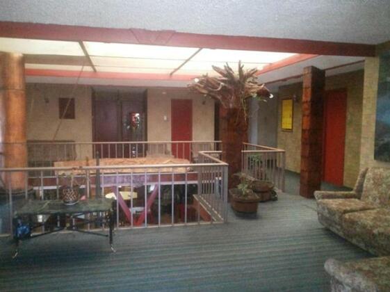 Hotel Alerce Nativo - Photo2