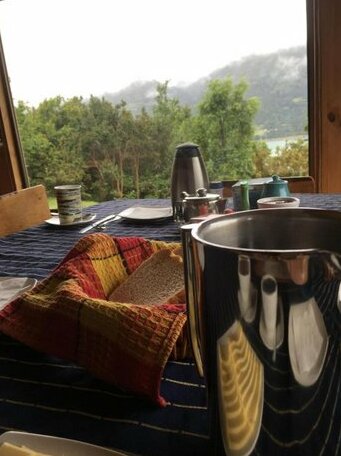 Patagonia Nativa - Photo3