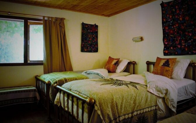 Panihouse - Photo5