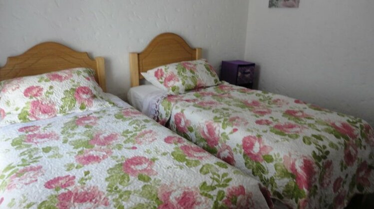 Cabanas Aires del Bosque - Photo3