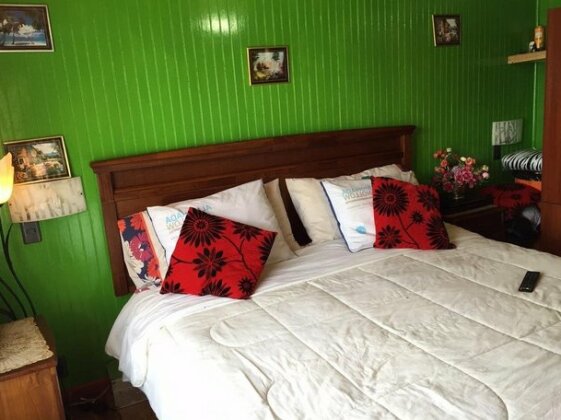 Hostal Los Troncos - Photo3