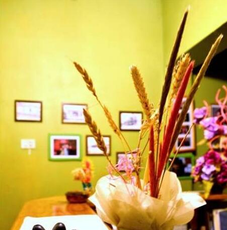 Hostal Altos del Maule - Photo5