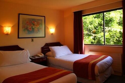 Hotel Palmas Express B&B - Photo3