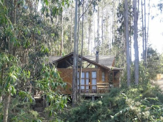 Cabanas Curi-Huapi