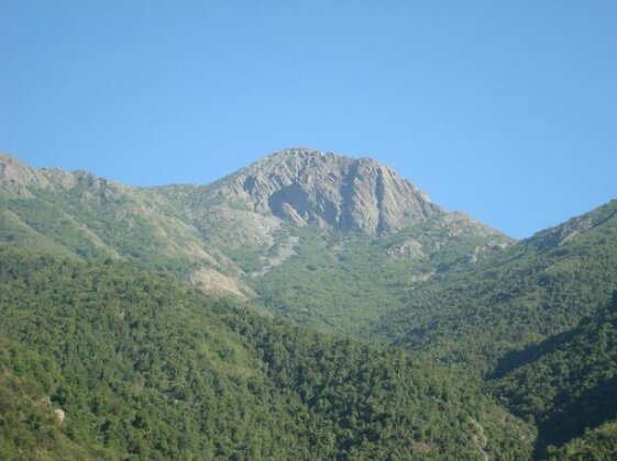 Parcela Olmue Chiavari - Photo5