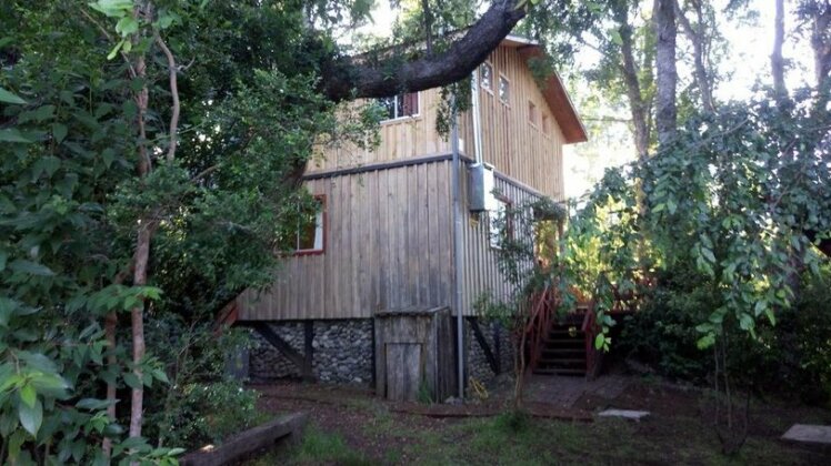 Cabanas Los Hualles de Conaripe - Photo3