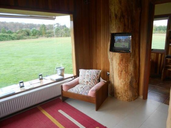 Ecoterraverde - Photo4