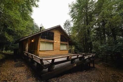 Huilo Huilo Cabanas del Bosque - Photo2