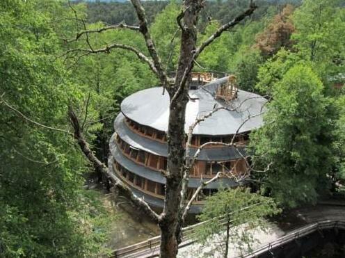 Huilo Huilo Reino Fungi Lodge - Photo2