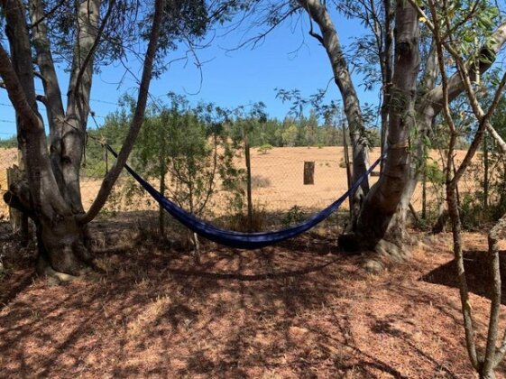 Casa Azul de San Pancho - Photo2