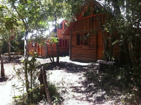 Bosque de Pucon - Photo2