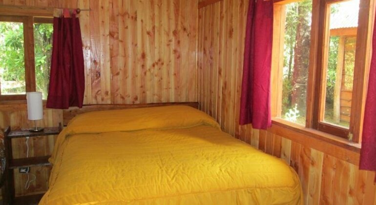 Bosque de Pucon - Photo4