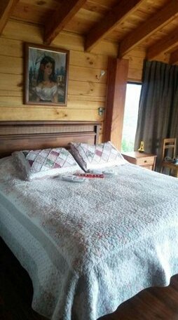Cabana Alto Pucon - Photo5
