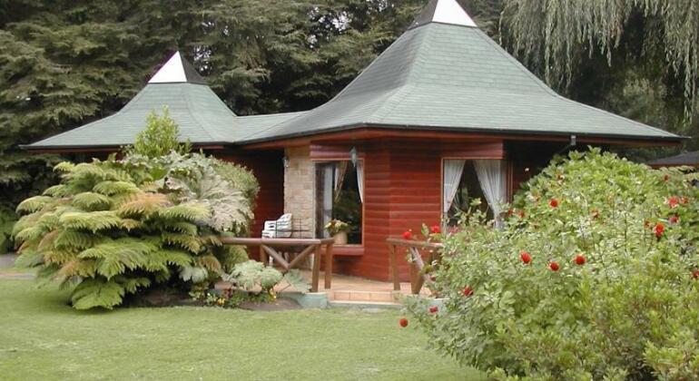 Cabanas el Dorado Pucon - Photo4