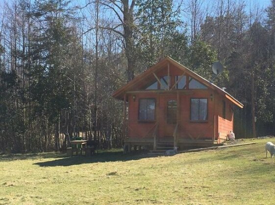 Cabanas Los Canelos Pucon - Photo2