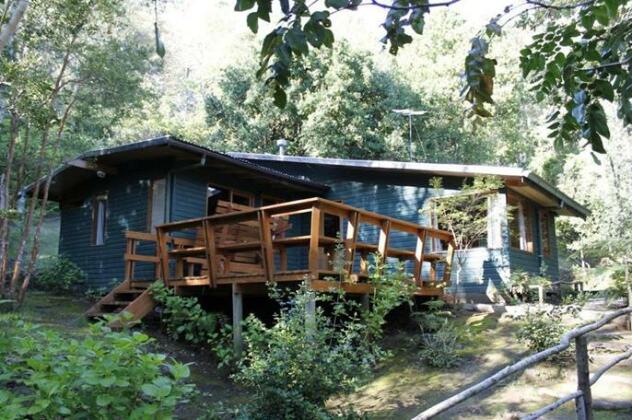 Cabanas Los Lingues - Photo2