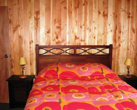 Cabanas Rucaaliwen - Photo4