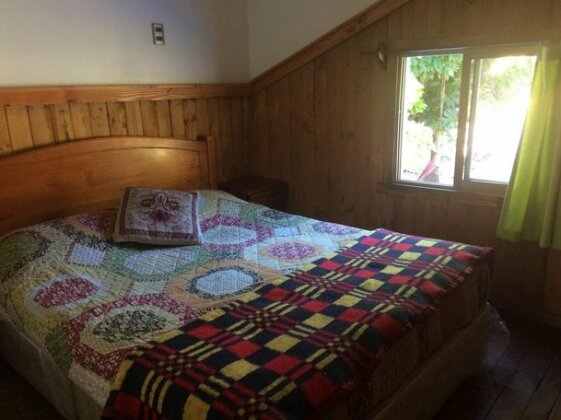 Gecko Hostel Pucon - Photo5