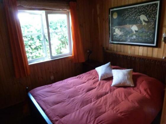 Paradise Pucon International Hostel - Photo2
