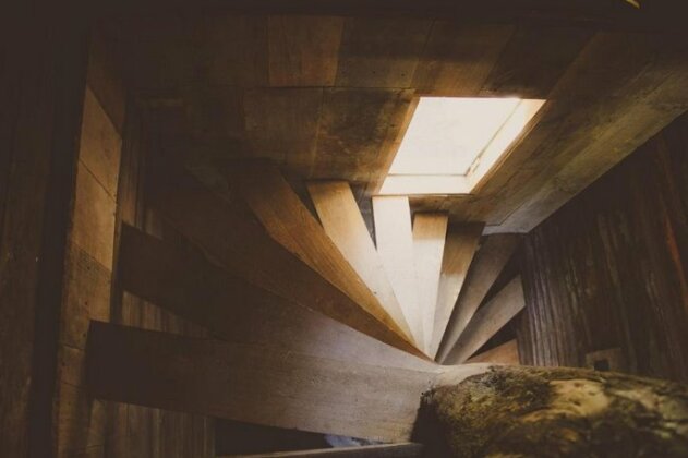 Willhouse - Photo2