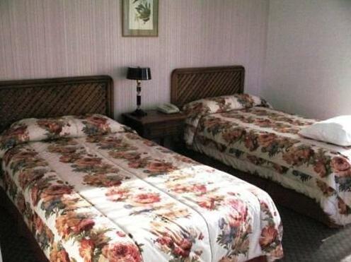 Hostal Terrasur - Photo4