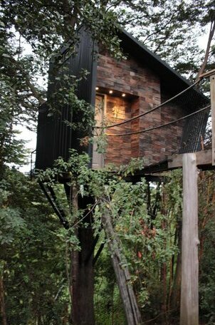 Tree Lodge Chiloe - Photo2