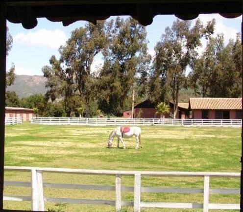Hotel Haras Casacampo - Photo3