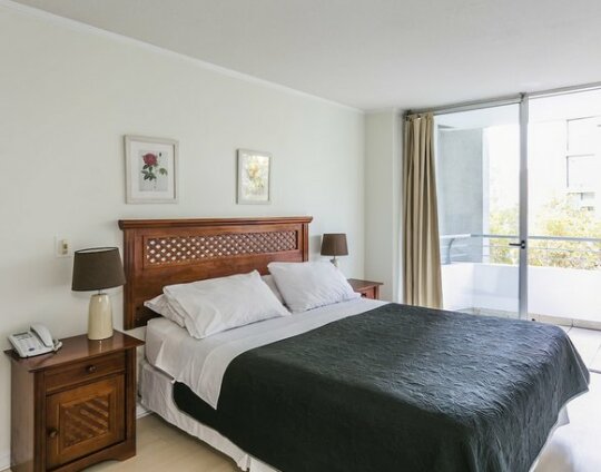 Nueva Lyon Apartments - Photo4