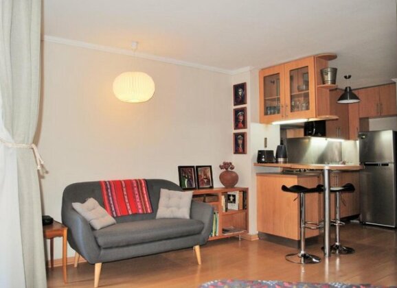 Studio Apartment En Providencia - Photo2