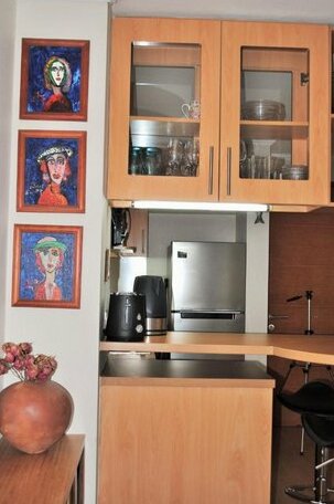 Studio Apartment En Providencia - Photo4