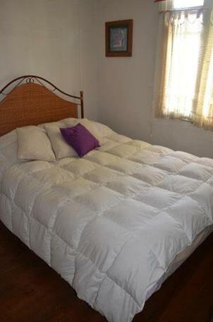 The Coletti - Photo5