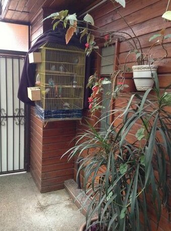 Hotel Luanco - Photo2