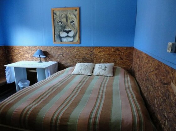 Hostal Armando - Photo5