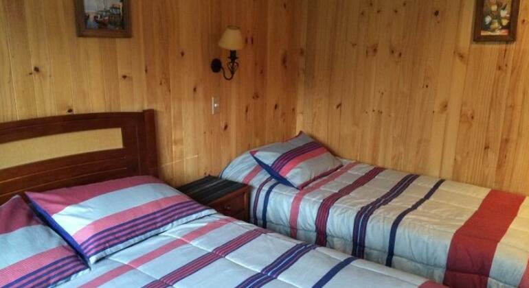 Hostal Hofmann - Photo4