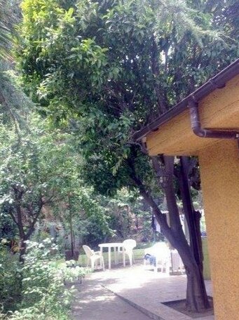 Bungalow House - Photo5