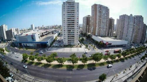 Departamento Quinta Vergara Vina del Mar