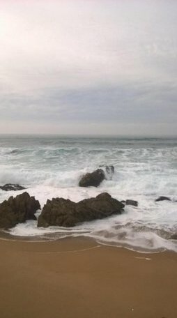  Photo 3