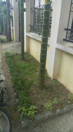 Residence Poncefack - Photo4