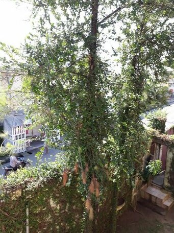 Site de Bonateki - Deido - Photo2