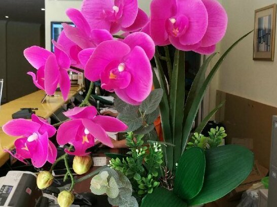 Home Inn Haicheng - Photo5