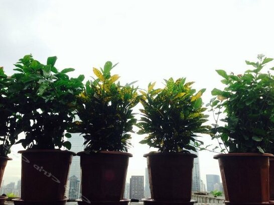Chengdu Metoo Youth Hostel - Photo5