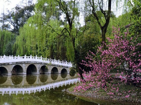 Jinniu Hotel Chengdu - Photo5