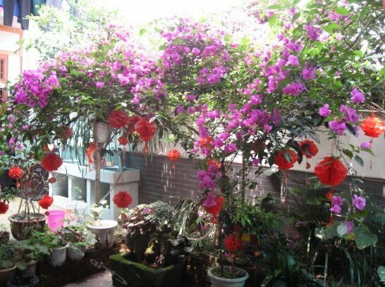 Pinglexue Shuangyuan Hostel - Photo5