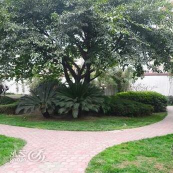 Xuecheng Hotel - Photo4