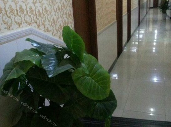 Dalin Hostel - Photo2