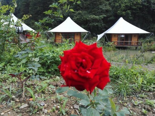 Huaba Rose Valley Tent Hotel - Photo4