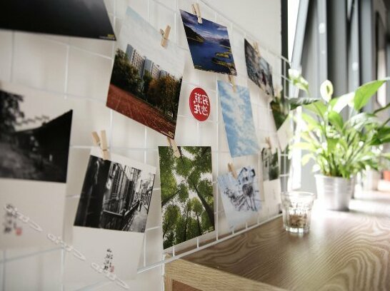 Run Wild Hostel - Photo4