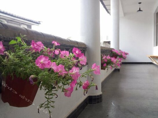 Dali Free Bird Hostel - Photo3